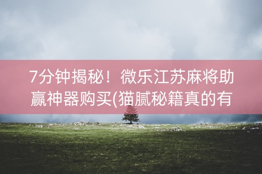 7分钟揭秘！微乐江苏麻将助赢神器购买(猫腻秘籍真的有挂)