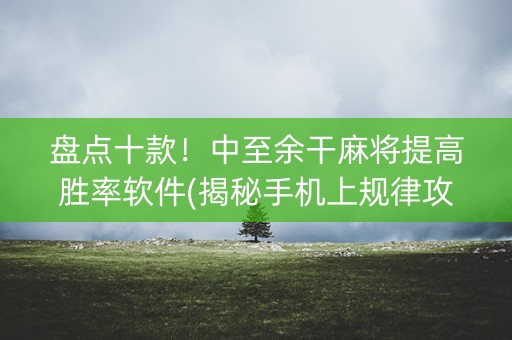 盘点十款！中至余干麻将提高胜率软件(揭秘手机上规律攻略)