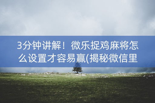 3分钟讲解！微乐捉鸡麻将怎么设置才容易赢(揭秘微信里赢牌的技巧)
