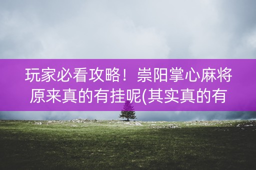 玩家必看攻略！崇阳掌心麻将原来真的有挂呢(其实真的有挂)