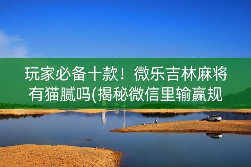 玩家必备十款！微乐吉林麻将有猫腻吗(揭秘微信里输赢规律)