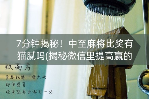 7分钟揭秘！中至麻将比奖有猫腻吗(揭秘微信里提高赢的概率)