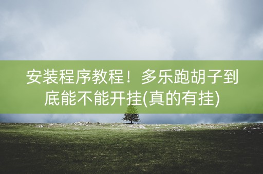 安装程序教程！多乐跑胡子到底能不能开挂(真的有挂)