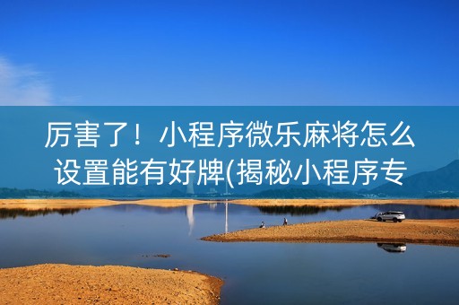厉害了！小程序微乐麻将怎么设置能有好牌(揭秘小程序专用神器下载)