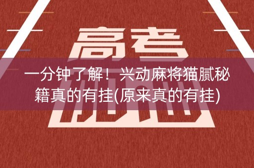 一分钟了解！兴动麻将猫腻秘籍真的有挂(原来真的有挂)