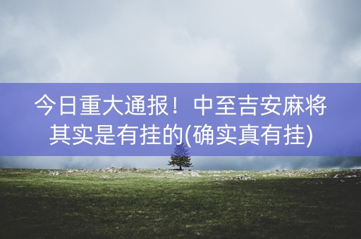 今日重大通报！中至吉安麻将其实是有挂的(确实真有挂)