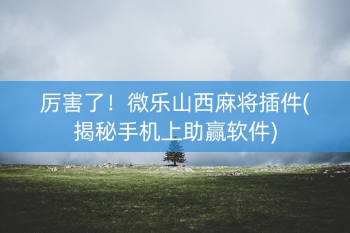 厉害了！微乐山西麻将插件(揭秘手机上助赢软件)