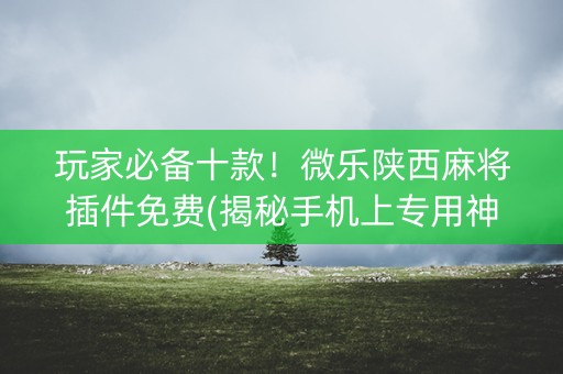 玩家必备十款！微乐陕西麻将插件免费(揭秘手机上专用神器)