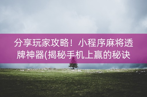 分享玩家攻略！小程序麻将透牌神器(揭秘手机上赢的秘诀)