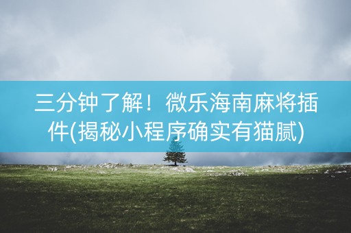 三分钟了解！微乐海南麻将插件(揭秘小程序确实有猫腻)