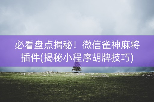 必看盘点揭秘！微信雀神麻将插件(揭秘小程序胡牌技巧)