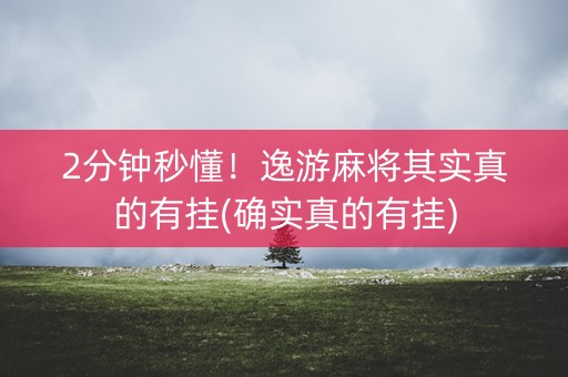 2分钟秒懂！逸游麻将其实真的有挂(确实真的有挂)