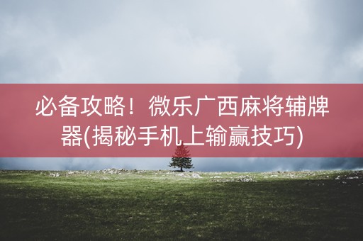 必备攻略！微乐广西麻将辅牌器(揭秘手机上输赢技巧)