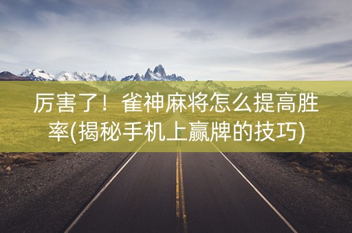 厉害了！雀神麻将怎么提高胜率(揭秘手机上赢牌的技巧)