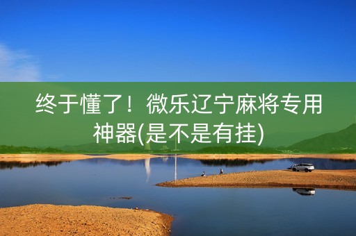 终于懂了！微乐辽宁麻将专用神器(是不是有挂)