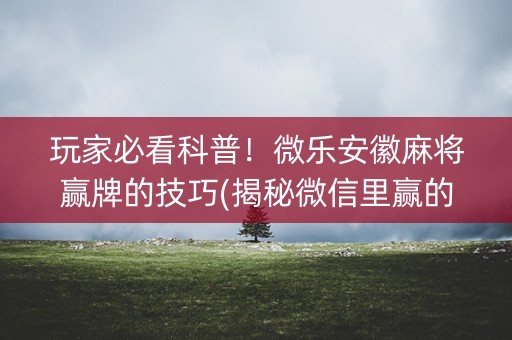 玩家必看科普！微乐安徽麻将赢牌的技巧(揭秘微信里赢的秘诀)