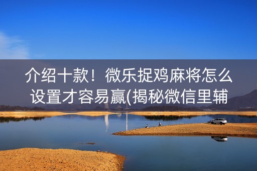 介绍十款！微乐捉鸡麻将怎么设置才容易赢(揭秘微信里辅牌器)