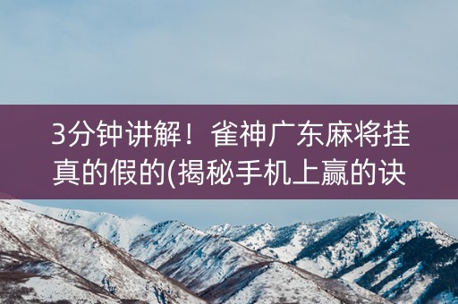 3分钟讲解！雀神广东麻将挂真的假的(揭秘手机上赢的诀窍)