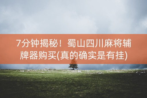 7分钟揭秘！蜀山四川麻将辅牌器购买(真的确实是有挂)