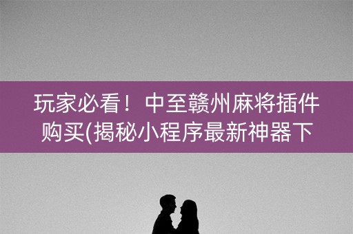 玩家必看！中至赣州麻将插件购买(揭秘小程序最新神器下载)