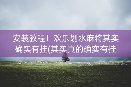 安装教程！欢乐划水麻将其实确实有挂(其实真的确实有挂)