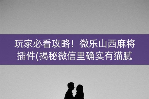 玩家必看攻略！微乐山西麻将插件(揭秘微信里确实有猫腻)