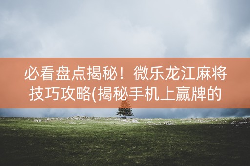 必看盘点揭秘！微乐龙江麻将技巧攻略(揭秘手机上赢牌的技巧)