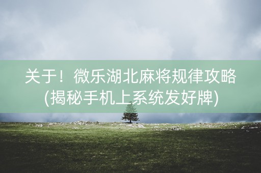 关于！微乐湖北麻将规律攻略(揭秘手机上系统发好牌)