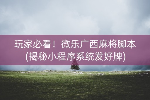 玩家必看！微乐广西麻将脚本(揭秘小程序系统发好牌)