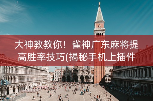 大神教教你！雀神广东麻将提高胜率技巧(揭秘手机上插件下载)