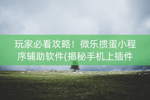 玩家必看攻略！微乐掼蛋小程序辅助软件(揭秘手机上插件购买)