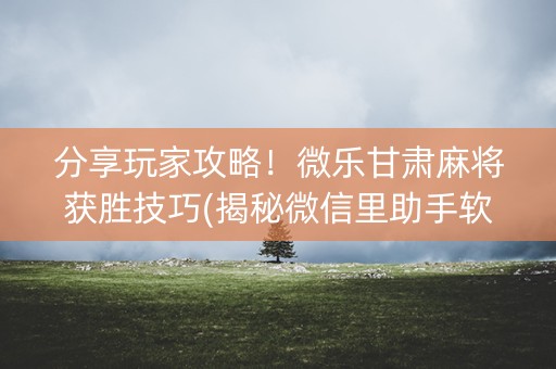 分享玩家攻略！微乐甘肃麻将获胜技巧(揭秘微信里助手软件)