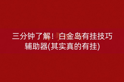 三分钟了解！白金岛有挂技巧辅助器(其实真的有挂)