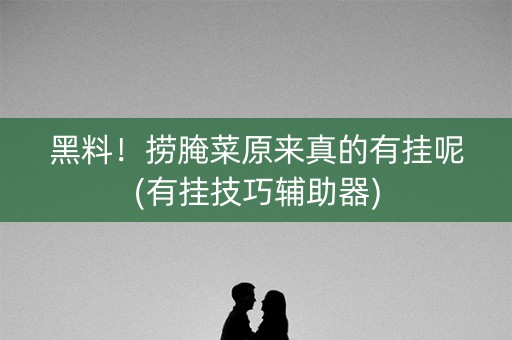 黑料！捞腌菜原来真的有挂呢(有挂技巧辅助器)