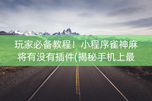 玩家必备教程！小程序雀神麻将有没有插件(揭秘手机上最新神器下载)
