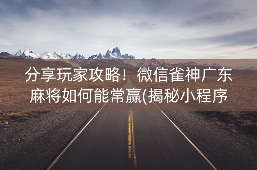 分享玩家攻略！微信雀神广东麻将如何能常赢(揭秘小程序助手软件)