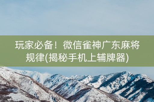 玩家必备！微信雀神广东麻将规律(揭秘手机上辅牌器)