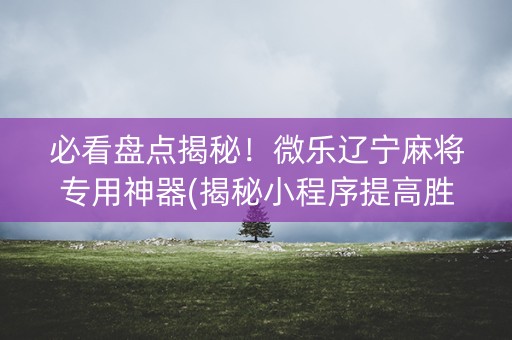必看盘点揭秘！微乐辽宁麻将专用神器(揭秘小程序提高胜率)