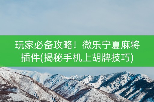 玩家必备攻略！微乐宁夏麻将插件(揭秘手机上胡牌技巧)