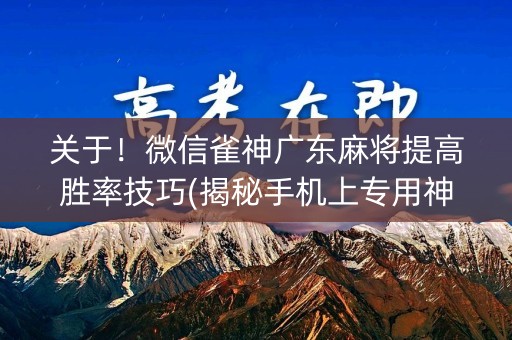 关于！微信雀神广东麻将提高胜率技巧(揭秘手机上专用神器下载)