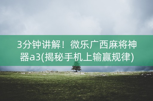 3分钟讲解！微乐广西麻将神器a3(揭秘手机上输赢规律)