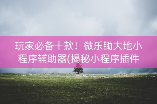 玩家必备十款！微乐锄大地小程序辅助器(揭秘小程序插件免费)