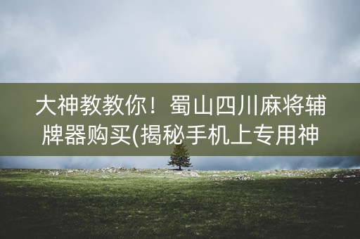 大神教教你！蜀山四川麻将辅牌器购买(揭秘手机上专用神器下载)
