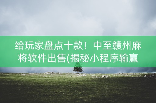 给玩家盘点十款！中至赣州麻将软件出售(揭秘小程序输赢技巧)