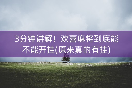 3分钟讲解！欢喜麻将到底能不能开挂(原来真的有挂)