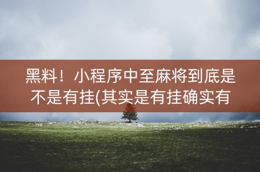 黑料！小程序中至麻将到底是不是有挂(其实是有挂确实有挂)