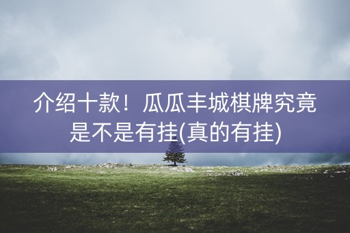 介绍十款！瓜瓜丰城棋牌究竟是不是有挂(真的有挂)