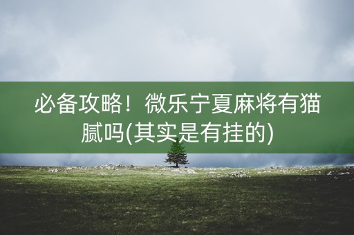 必备攻略！微乐宁夏麻将有猫腻吗(其实是有挂的)