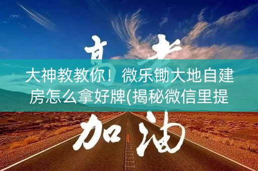 大神教教你！微乐锄大地自建房怎么拿好牌(揭秘微信里提高胜率)