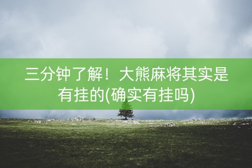 三分钟了解！大熊麻将其实是有挂的(确实有挂吗)